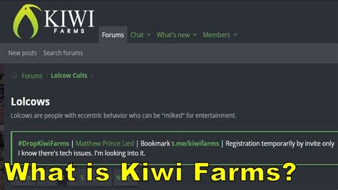 kiwifarms.ney|Why anti